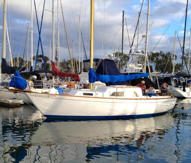 Pelagic sloop image