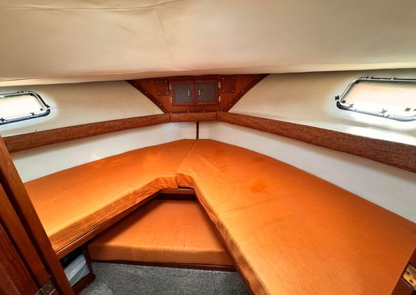 Carver 3607-AFT-CABIN-MOTORYACHT image