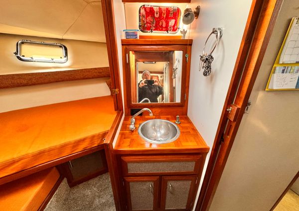 Carver 3607-AFT-CABIN-MOTORYACHT image