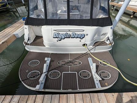 Sea Ray 460 Sundancer image