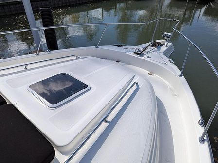 Sea Ray 460 Sundancer image