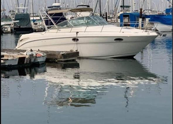 Sea-ray 290-AMBERJACK image