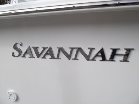 Savannah SS19 image