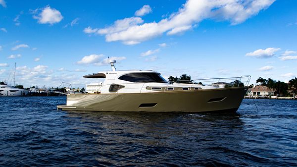 Monachus Issa 45