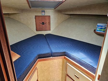 Bertram 35-CONVERTIBLE image