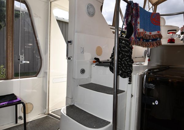 Sea-ray 420-AFT-CABIN image