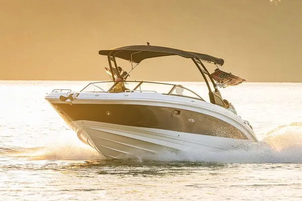Sea Ray SDX 290 image