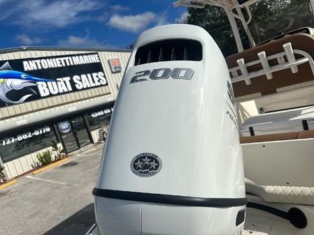 Pioneer ISLANDER-202 image