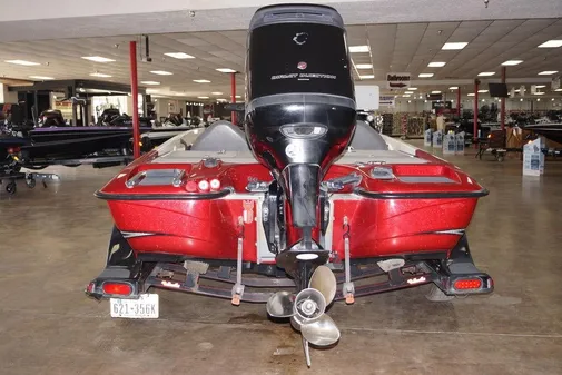 Bass Cat Pantera II image