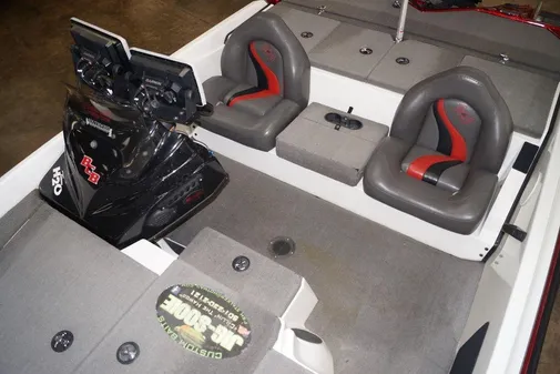 Bass Cat Pantera II image