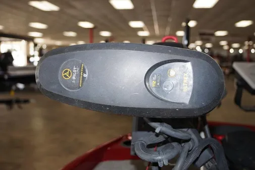 Bass Cat Pantera II image