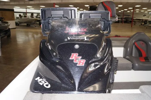 Bass Cat Pantera II image