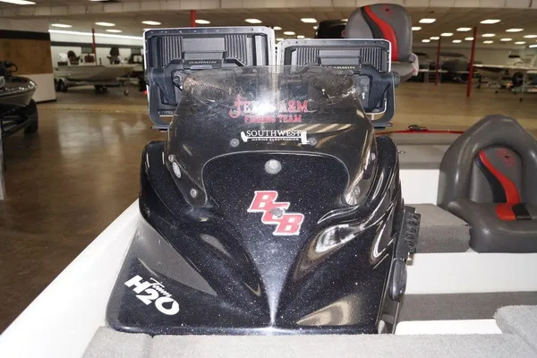 Bass-cat PANTERA-II image