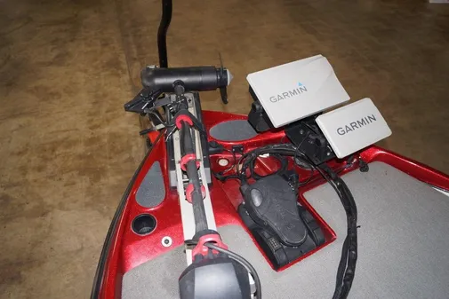 Bass Cat Pantera II image