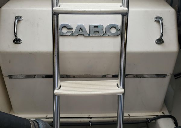 Cabo 47-FLYBRIDGE image