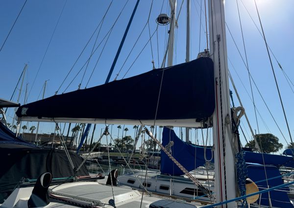 Catalina SLOOP image