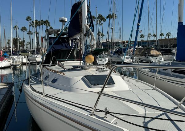 Catalina SLOOP image