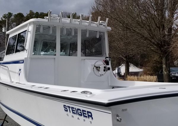 Steiger-craft 31-DV-MIAMI image
