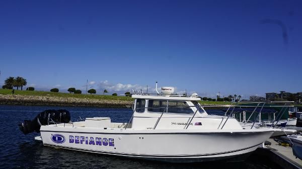Defiance Guadalupe 290 EX 