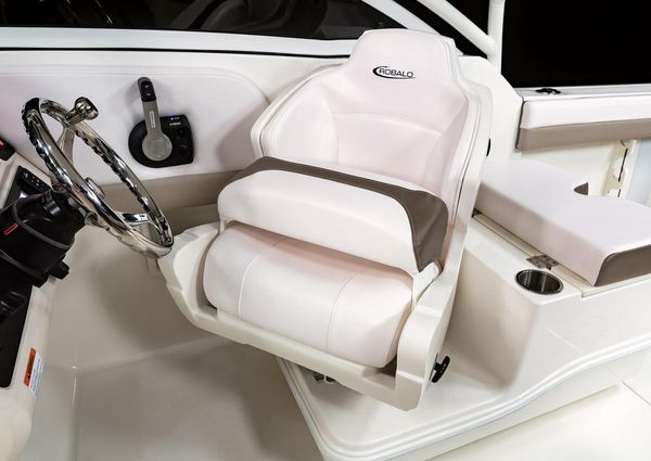 Robalo R247DC image