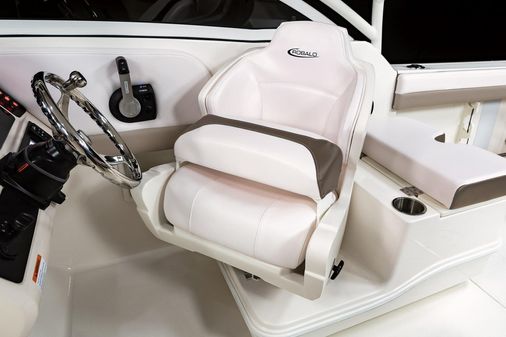 Robalo R247DC image