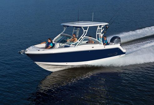 Robalo R247DC image