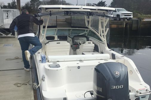 Robalo R247DC image