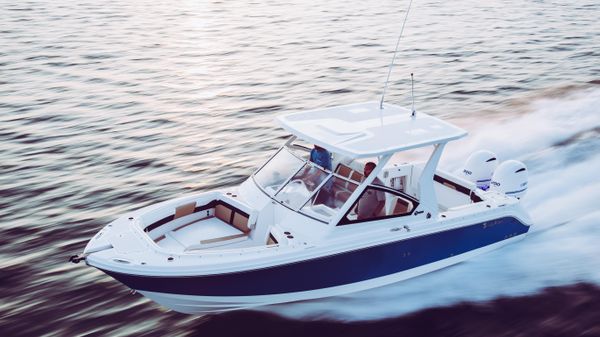 Edgewater 262CX