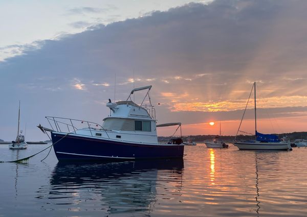 Cape-dory 28-FB-FAST-TRAWLER-01-YANMAR image