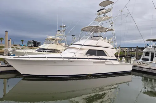 Bertram 43 Convertible 