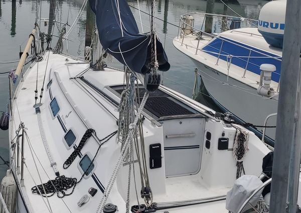 Beneteau FIRST-310 image