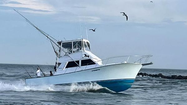 Henriques 38 Sportfisherman
