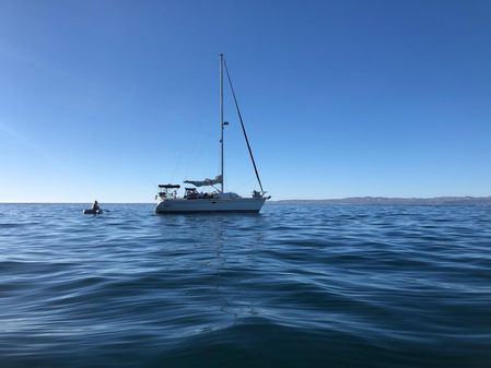 Catalina 350 image