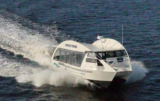 Smoky Mountain Pontoon Ferry image