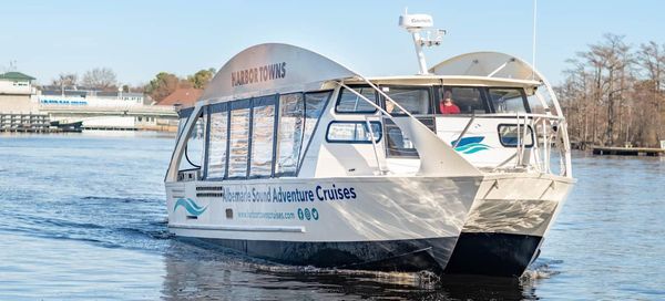 Smoky-mountain FERRY image