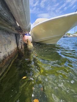 Tidewater 250-CC-ADVENTURE image