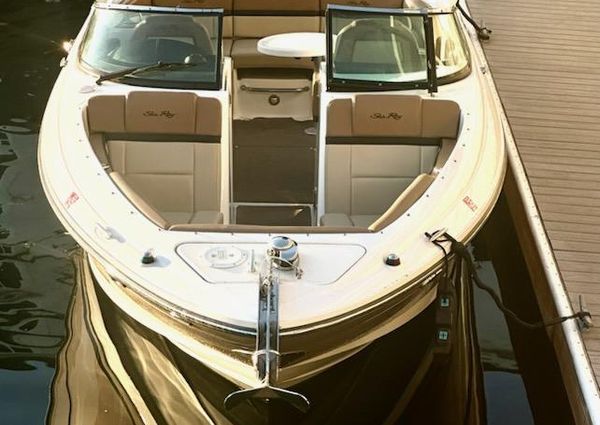 Sea Ray 250 SLX image