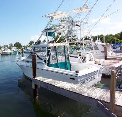 Baha Cruisers Weekend Tournament Fisherman - main image