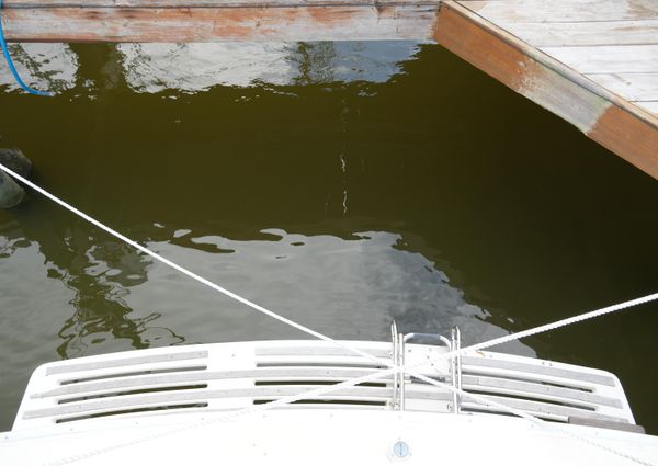 Mainship 400 Trawler image