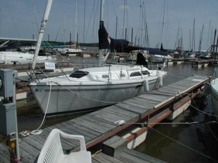 Catalina 310