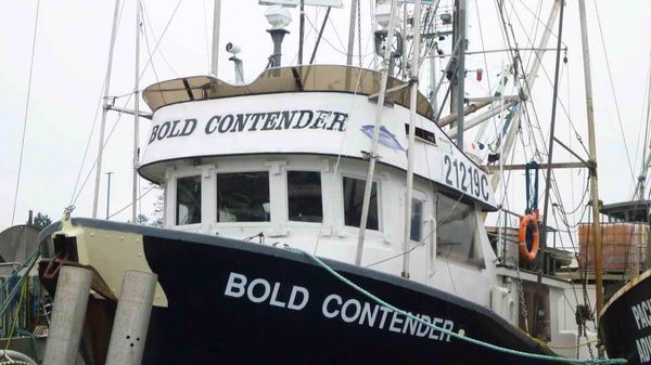 Commercial Gooldrup Offshore Tuna Freezer