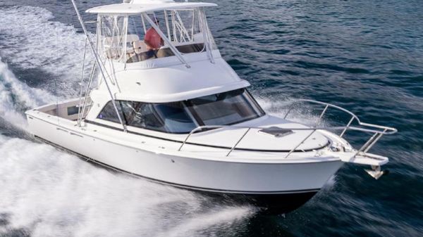 Bertram 35