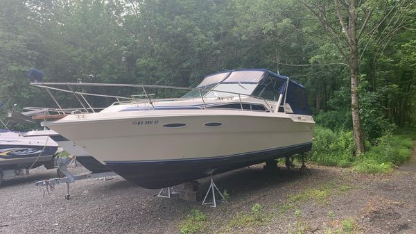 Sea Ray 300 