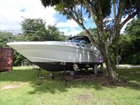 Sea Ray 360 Sundancer image