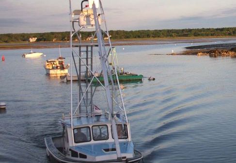 Jim Beal Lobster Tuna Downeast