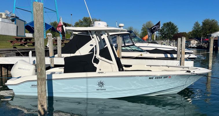 Boston-whaler 220-DAUNTLESS - main image