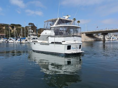 President 37 Aft Cabin image