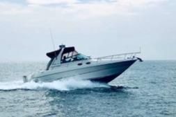 Sea Ray Sundancer