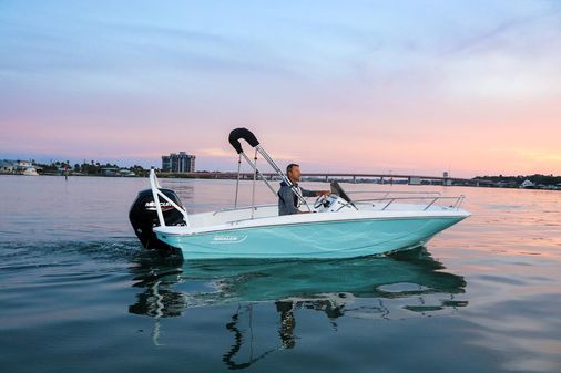 Boston-whaler 160-SUPER-SPORT image