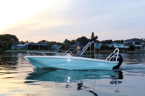 Boston-whaler 160-SUPER-SPORT image